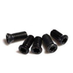 Screw for Tool Holdings